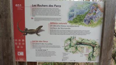 26/06/2023 Tour de la Suisse Normande étape 1