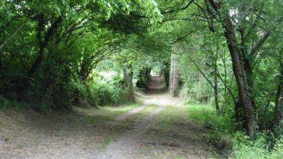 27/06/2023 Tour de la Suisse Normande étape 2