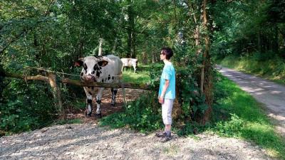 28/06/2023 Tour de la Suisse Normande étape 3