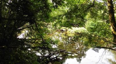 28/06/2023 Tour de la Suisse Normande étape 3