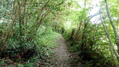 28/06/2023 Tour de la Suisse Normande étape 3
