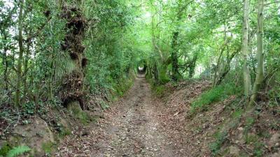 29/06/2023 Tour de la Suisse Normande étape 4