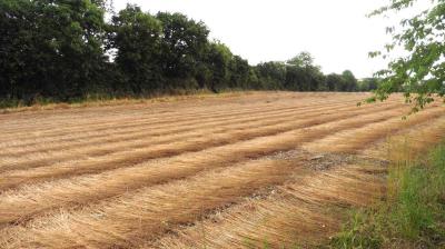 30/06/2023 Tour de la Suisse Normande étape 5