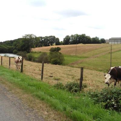 30/06/2023 Tour de la Suisse Normande étape 5