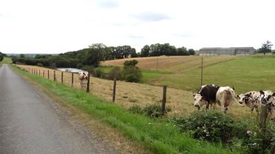 30/06/2023 Tour de la Suisse Normande étape 5