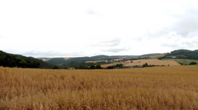 01/07/2023 Tour de la Suisse Normande étape 6