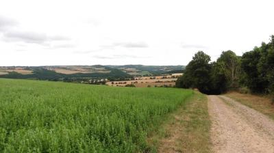 01/07/2023 Tour de la Suisse Normande étape 6