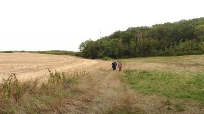 27/07/2023 Dampierre sur Avre