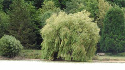 27/07/2023 Dampierre sur Avre