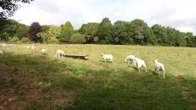 30/07/2023 Authon du Perche