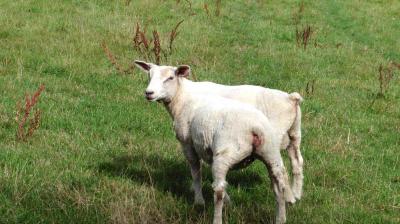 30/07/2023 Authon du Perche