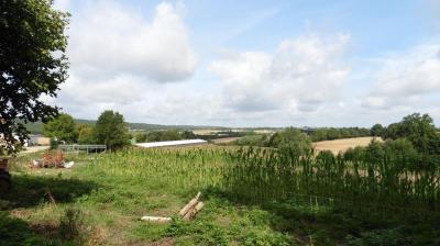 30/07/2023 Authon du Perche