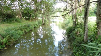 30/07/2023 Authon du Perche