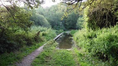 10/08/2023 St Maur sur le Loir