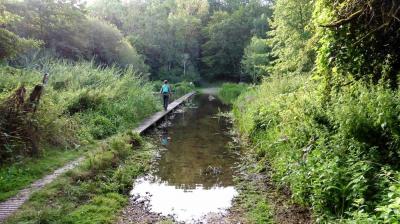 10/08/2023 St Maur sur le Loir