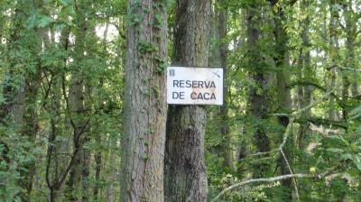 10/08/2023 St Maur sur le Loir