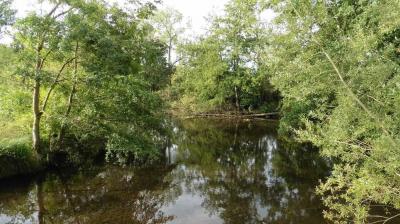 10/08/2023 St Maur sur le Loir