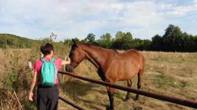 10/08/2023 St Maur sur le Loir