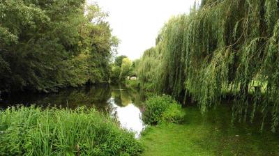 10/08/2023 St Maur sur le Loir