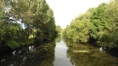 10/08/2023 St Maur sur le Loir