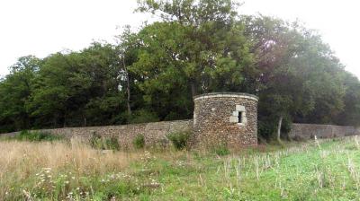 10/08/2023 St Maur sur le Loir