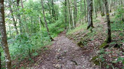 10/08/2023 St Maur sur le Loir