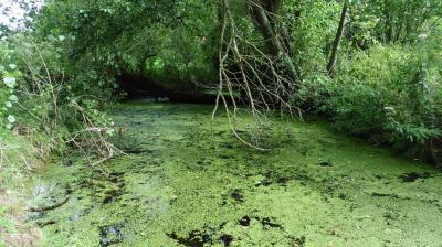 10/08/2023 St Maur sur le Loir