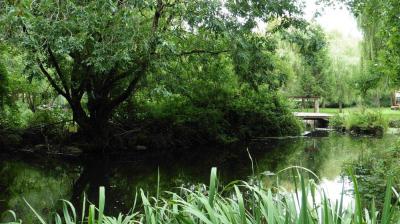 10/08/2023 St Maur sur le Loir