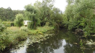10/08/2023 St Maur sur le Loir