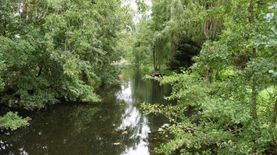 10/08/2023 St Maur sur le Loir