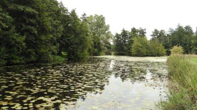 10/08/2023 St Maur sur le Loir