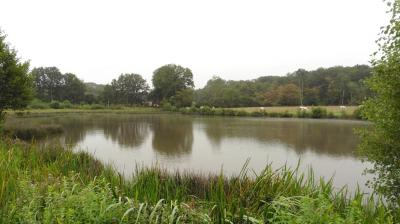 13/08/2023 L'Hôme Chamondot