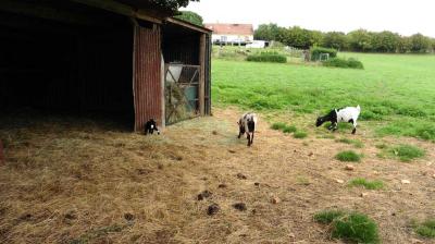 13/08/2023 L'Hôme Chamondot