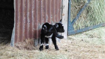13/08/2023 L'Hôme Chamondot