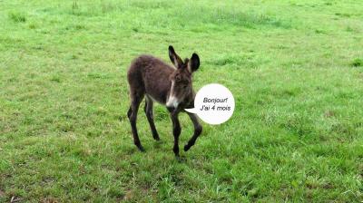 13/08/2023 L'Hôme Chamondot