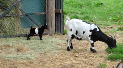 13/08/2023 L'Hôme Chamondot