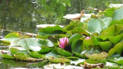 13/08/2023 L'Hôme Chamondot