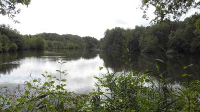 13/08/2023 L'Hôme Chamondot