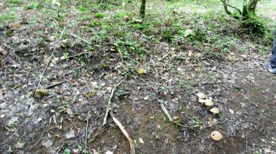 13/08/2023 L'Hôme Chamondot